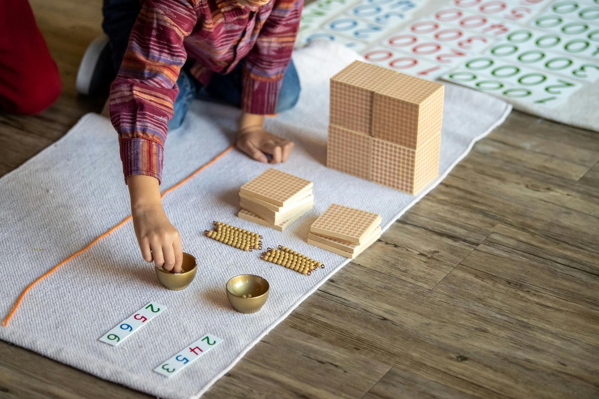Module 5: Introduction to the Montessori Curriculum 